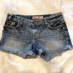 BKE Distressed Shorts